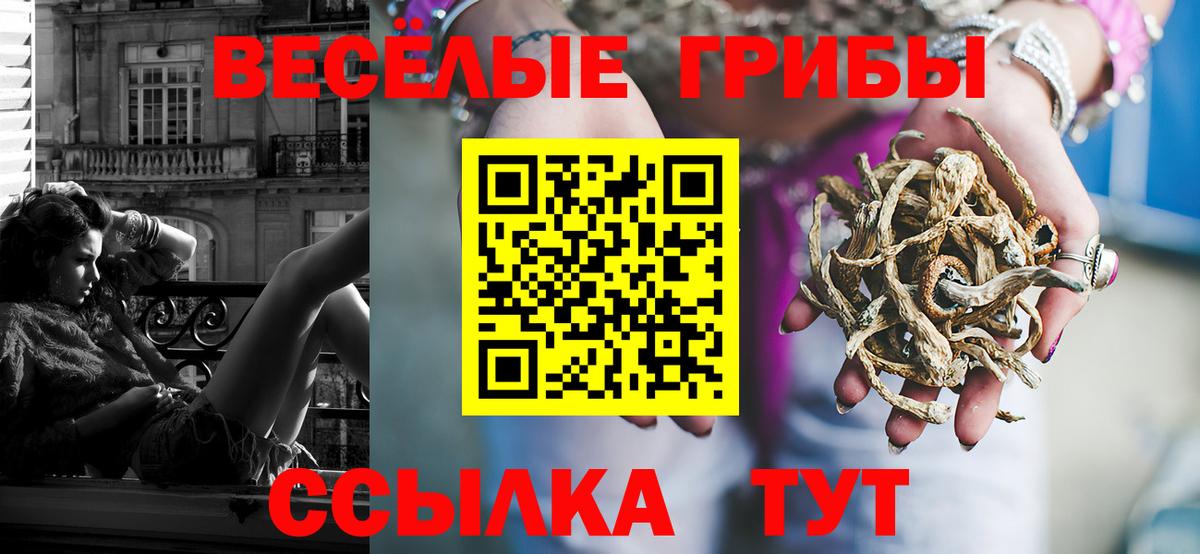 Псилоцибиновые грибы прущие грибы  Галлюциногенные грибы мухоморы  цены наркотик  Вход с VPN  Карачаевск 